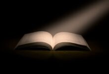 corporate growth insights study