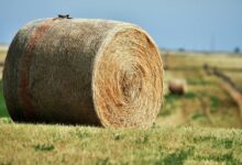 fusion node expansion plan