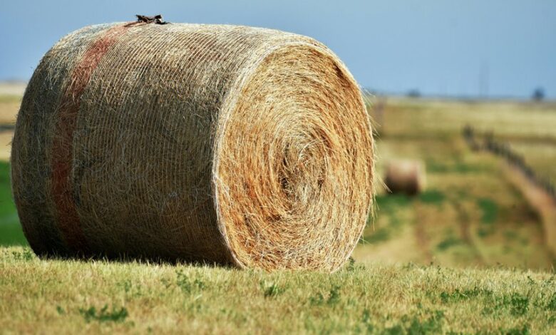 fusion node expansion plan