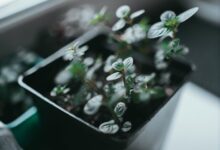 innovative problem solving strategies