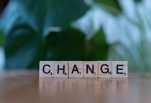 prime growth evolution concept