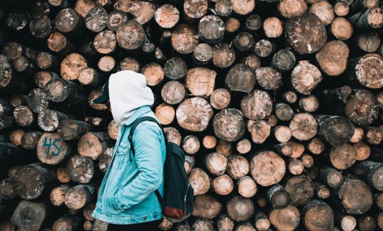 surukuku online activity insights