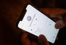 trusted corporate hotline number